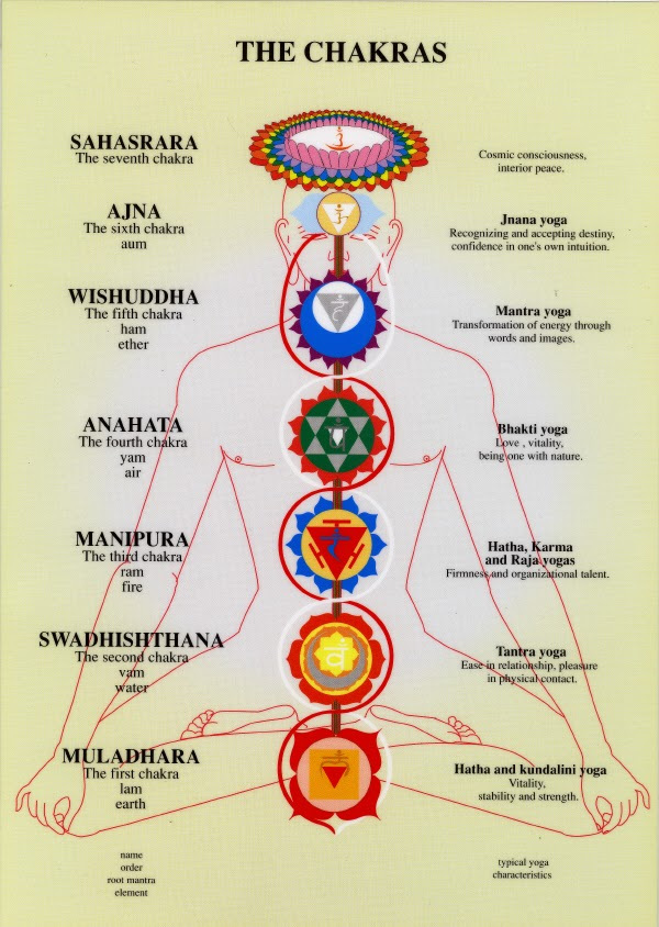 Seated body with the 6 chakras: Muladhara, Swadhistahana, Manipura, Anahata, Wishuddha, Ajna, Sahasara