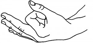 Chin Mudra - backs of hands on your knees, index finger rolled into your thumb/touching tip of index finger to thumb. Other fingers pint in a slight fan.
